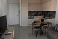 Modern Skyline Apartment Near the Coast in Desirable Tosmur