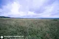 Дом  Петришковский сельский Совет, Беларусь