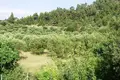 Szeregowiec 3 pokoi  Agia Paraskefi, Grecja