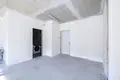 1 room apartment 45 m² Minsk, Belarus