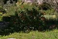 6 bedroom villa 320 m² Agia Marina, Greece