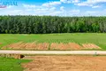 Land  Naujasis Tarpupis, Lithuania