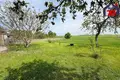 Дом 48 м² Весейский сельский Совет, Беларусь