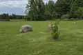 Cottage 309 m² Hacukouski sielski Saviet, Belarus