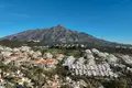 Дом 4 спальни 226 м² Сан-Педро-Алькантара, Испания