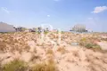 Atterrir 563 m² Charjah, Émirats arabes unis