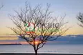 Apartamento 3 habitaciones 81 m² Pomorie, Bulgaria