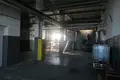 Producción 22 306 m² en Orsha, Belarús