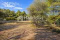 Parcelas 15 000 m² Nikiti, Grecia