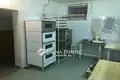 Commercial property 280 m² in Lajosmizse, Hungary