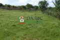 Commercial property 1 925 m² in Hadzhiite, Bulgaria