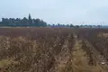 Działki 1 pokój  Thermi, Grecja