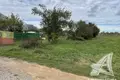 Parcelas  Carnaucycki sielski Saviet, Belarús