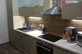 Apartment 73 m² okres Usti nad Labem, Czech Republic