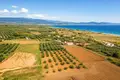 Land 5 800 m² Nea Triglia, Greece