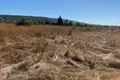 Квартира  Kosharitsa, Болгария