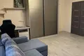 Wohnung 1 zimmer 50 m² in Minsk, Belarus