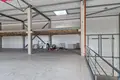 Gewerbefläche 2 216 m² in Zemaitkiemis, Litauen
