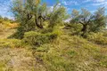 Parcelas 5 962 m² Neos Marmaras, Grecia