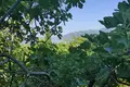 Parcelas  Tivat, Montenegro