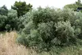 Земельные участки 1 комната  Municipality of Chania, Греция