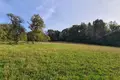 Land 292 822 m² Irenental, Austria