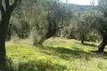 Land 1 room  Perithia, Greece