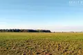 Cottage 98 m² in Uzda District, Belarus