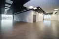 Commercial property 125 m² in Minsk, Belarus