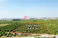 Земельные участки 10 м² Sariibrahimli, Турция