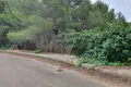 Земельные участки 1 спальня 300 м² Дения, Испания