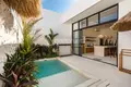 1 bedroom Villa  Pecatu, Indonesia
