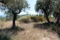 Земельные участки 1 комната 5 568 м² Aristotle Municipality, Греция