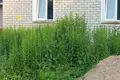 Wohnung 2 zimmer 49 m² Nieharelski sielski Saviet, Belarus