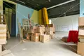 Propriété commerciale 277 m² à Grad Karlovac, Croatie