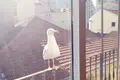 Mieszkanie 3 pokoi 80 m² Arroios, Portugalia
