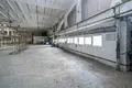 Manufacture 526 m² in Minsk, Belarus