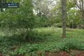 Działki  Olita, Litwa