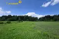 House 35 m² Usiazski sielski Saviet, Belarus