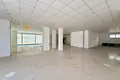 Geschäft 1 zimmer 900 m² in Kestel, Türkei
