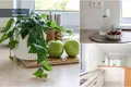 House 113 m² Izabeline, Lithuania