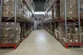 Warehouse 2 377 m² in Domodedovo, Russia