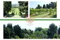 Hôtel 2 000 m² à Gradara, Italie