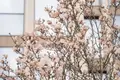 3 bedroom apartment 146 m² London, United Kingdom