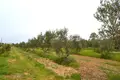 Land 1 room  Psachnia, Greece