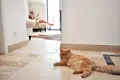 Квартира 2 спальни 200 м² Котор, Черногория