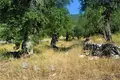 Земельные участки 1 комната  Като Агиос Маркос, Греция