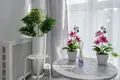 Квартира 1 комната 28 м² Минск, Беларусь