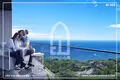 Appartement dans un nouvel immeuble Istanbul Sea Apartments Complex Beylikduzu