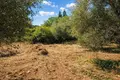 Atterrir 16 728 m² Neos Marmaras, Grèce